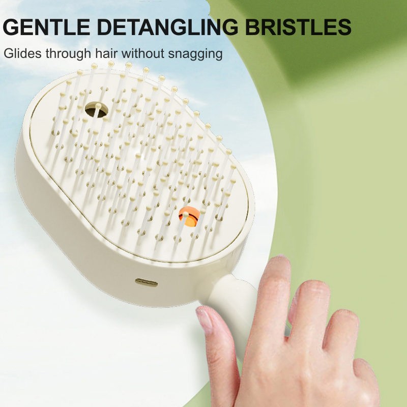 Electric hairbrush with spray and massage