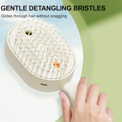 Electric hairbrush with spray and massage